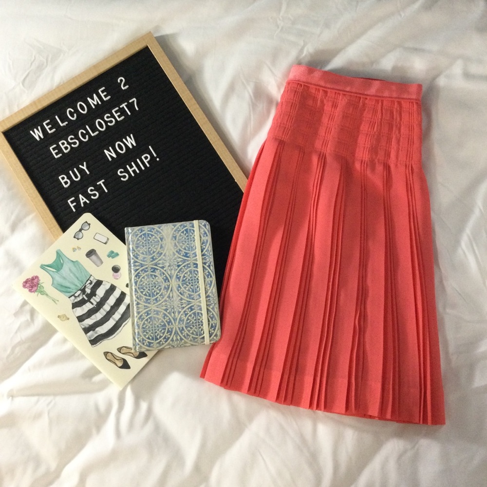 J. Crew Georgette Pleated Lined Mini Skirt